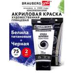 Краски акриловые Brauberg 2 цв.