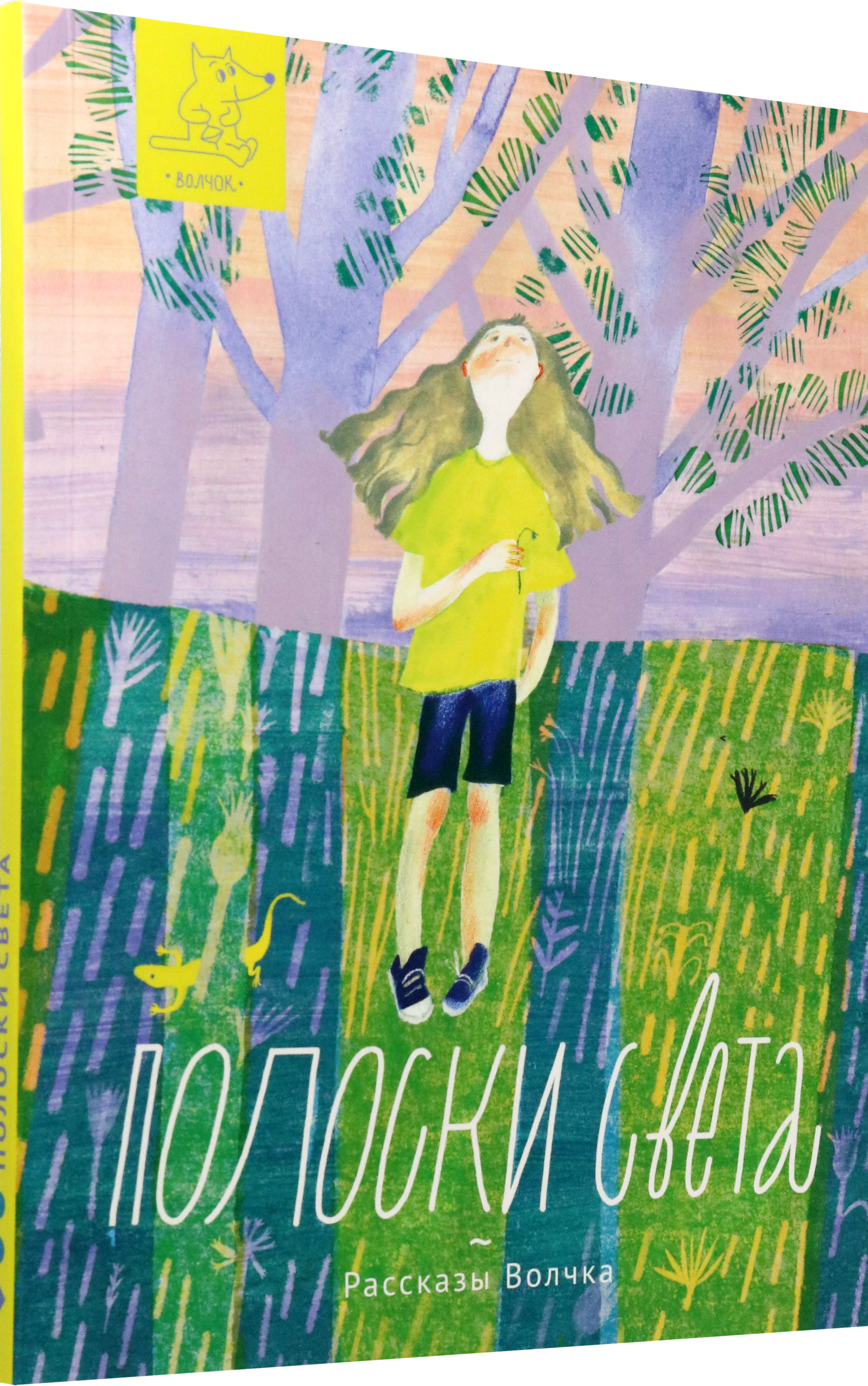 Книга Волчок Полоски света - фото 2
