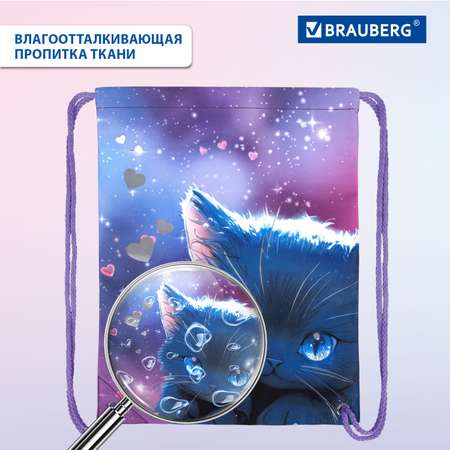 Мешок для обуви Brauberg