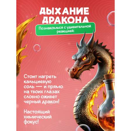 Набор для опытов Наукасити