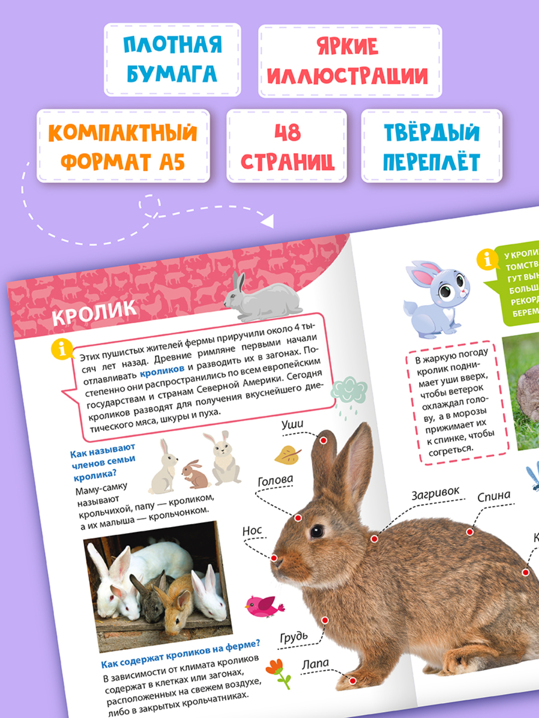 Книга Проф-Пресс Энциклопедия для маленьких почемучек. 2 шт. Животные фермы+Насекомые. 96 стр - фото 8