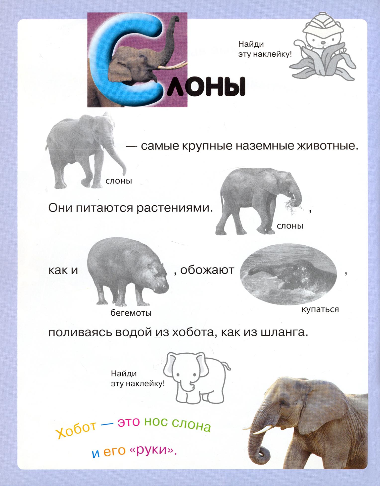 Книга Лабиринт Читай играй наклеивай Животные Розовая - фото 4