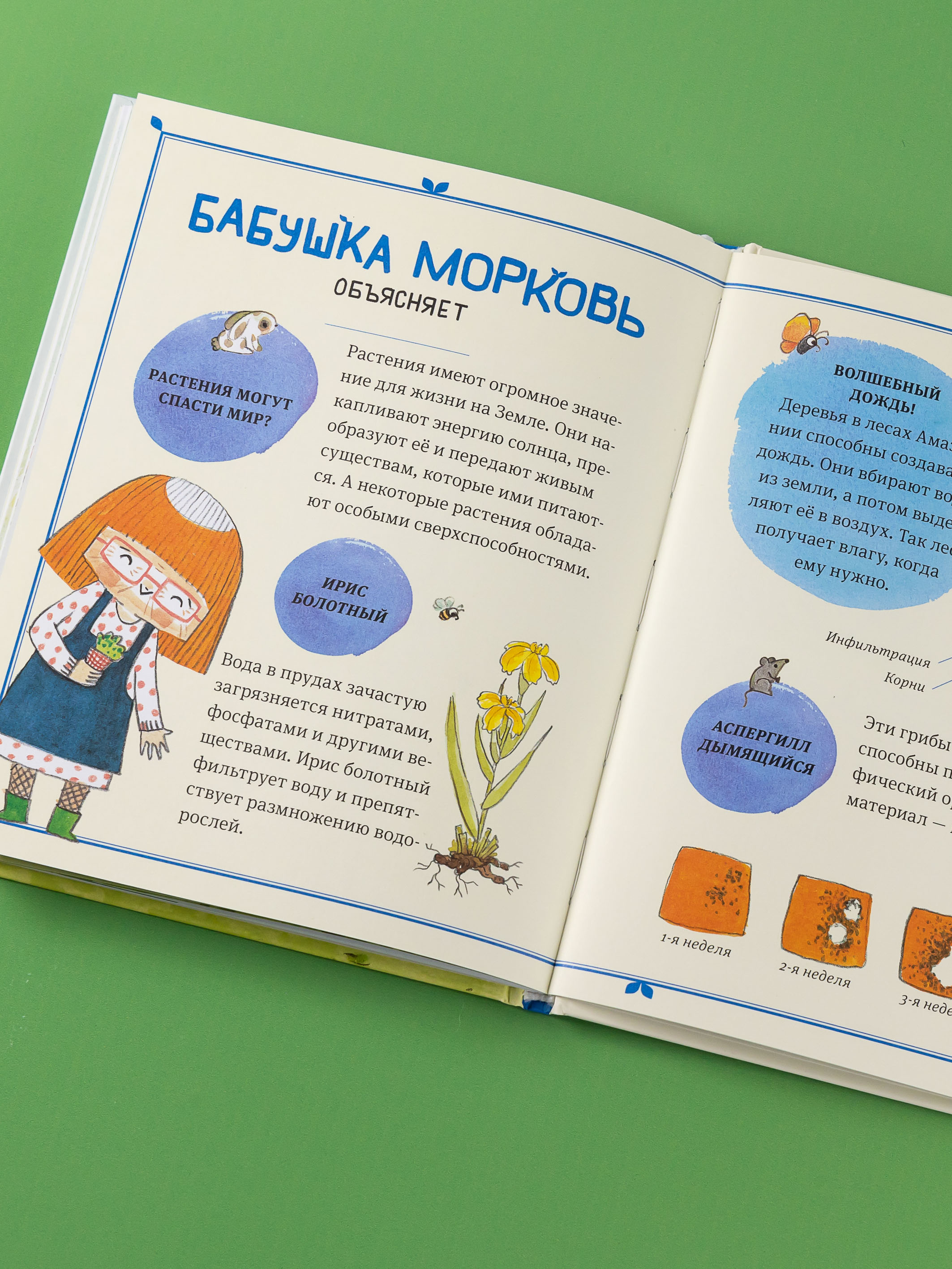 Книга Альпина. Дети В саду Базилика Растения обладают суперспособностями - фото 7