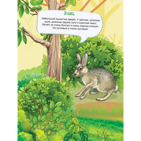 Книга Алтей Многоразовые наклейки