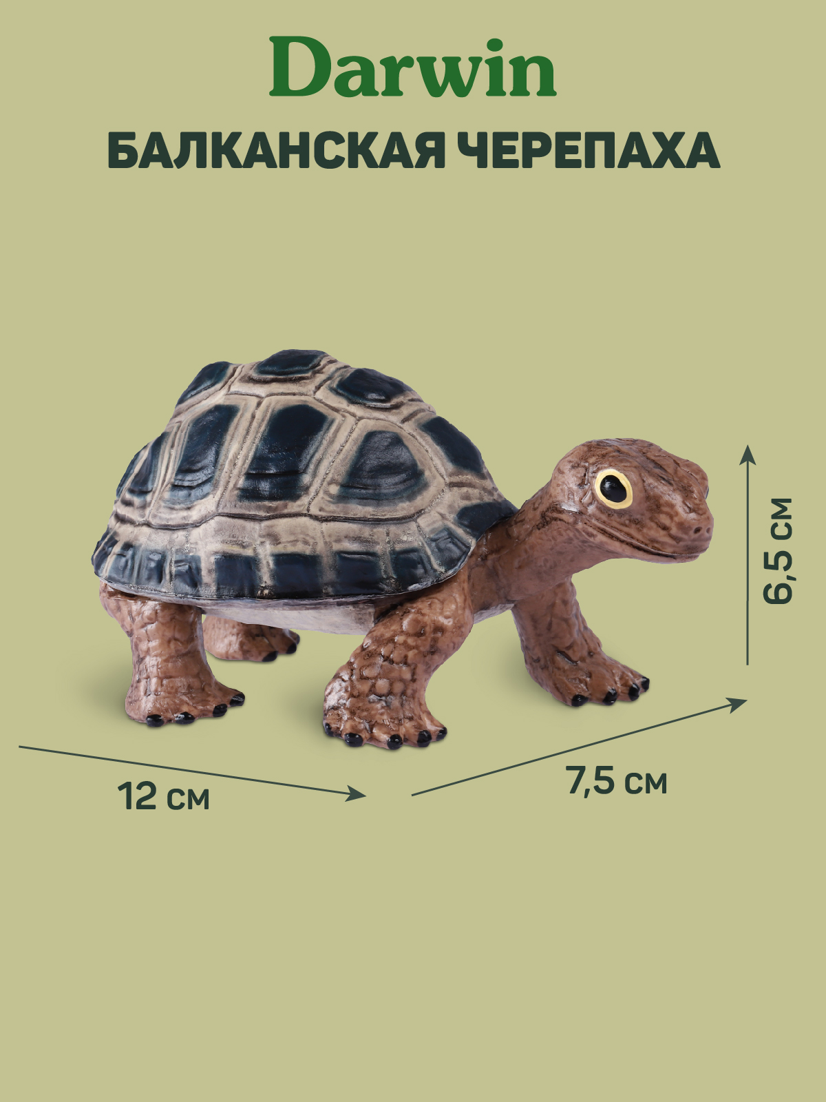 Фигурка DARWIN Животные Черепаха - фото 3