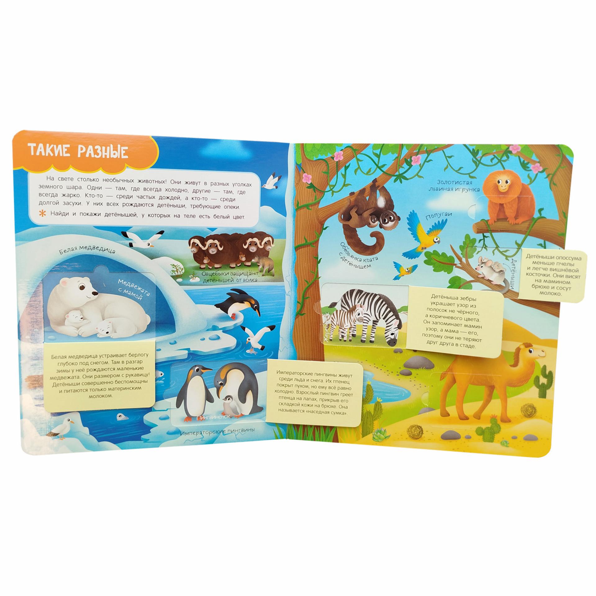 Книга Росмэн Мамы и малыши Книги с окошками - фото 3