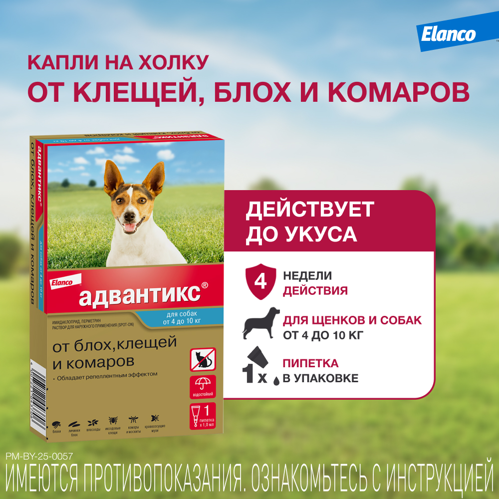 Капли для собак Elanco Адвантикс от 4 до 10кг против блох и клещей 1пипетка - фото 2