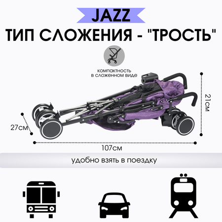 Коляска прогулочная Mr Sandman Jazz