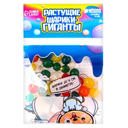 Настольная игра Школа Талантов