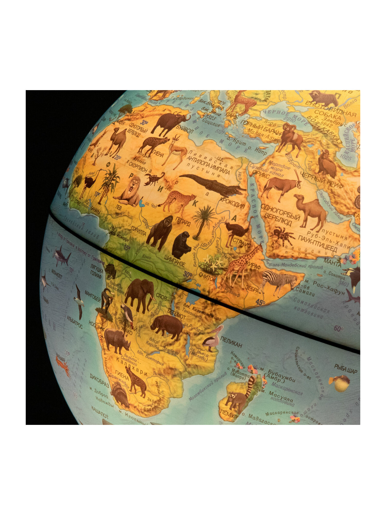 Глобус Globen зоогеографический с подсветкой диаметр 25 см - фото 13