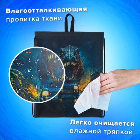 Мешок для обуви Brauberg