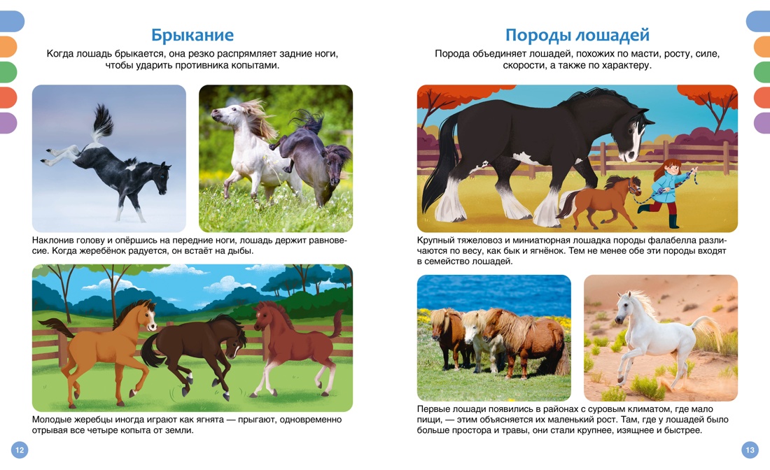 Книга Махаон лошади - фото 12