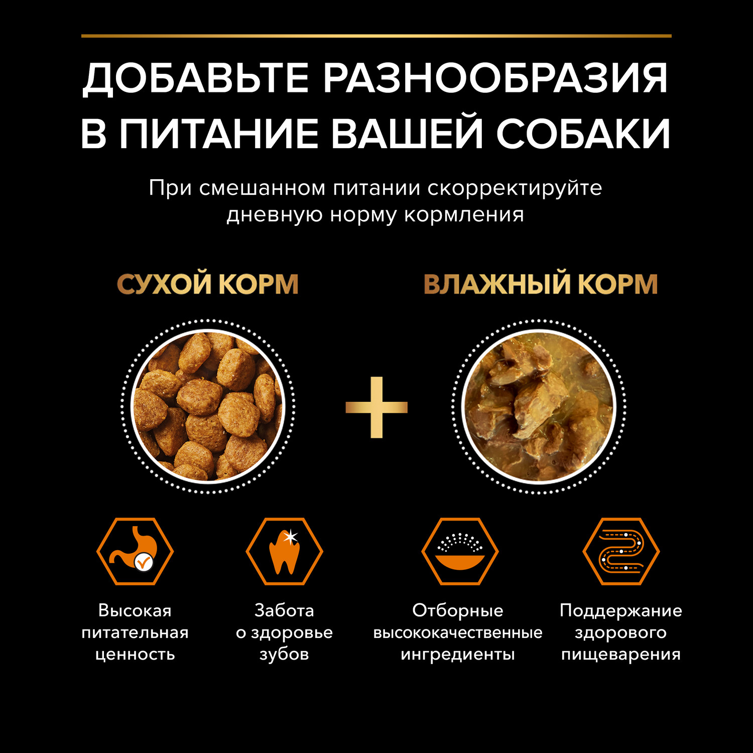 Корм сухой для собак PRO PLAN EVERYDAY NUTRITION 7 кг с курицей для мелких и карликовых пород - фото 9