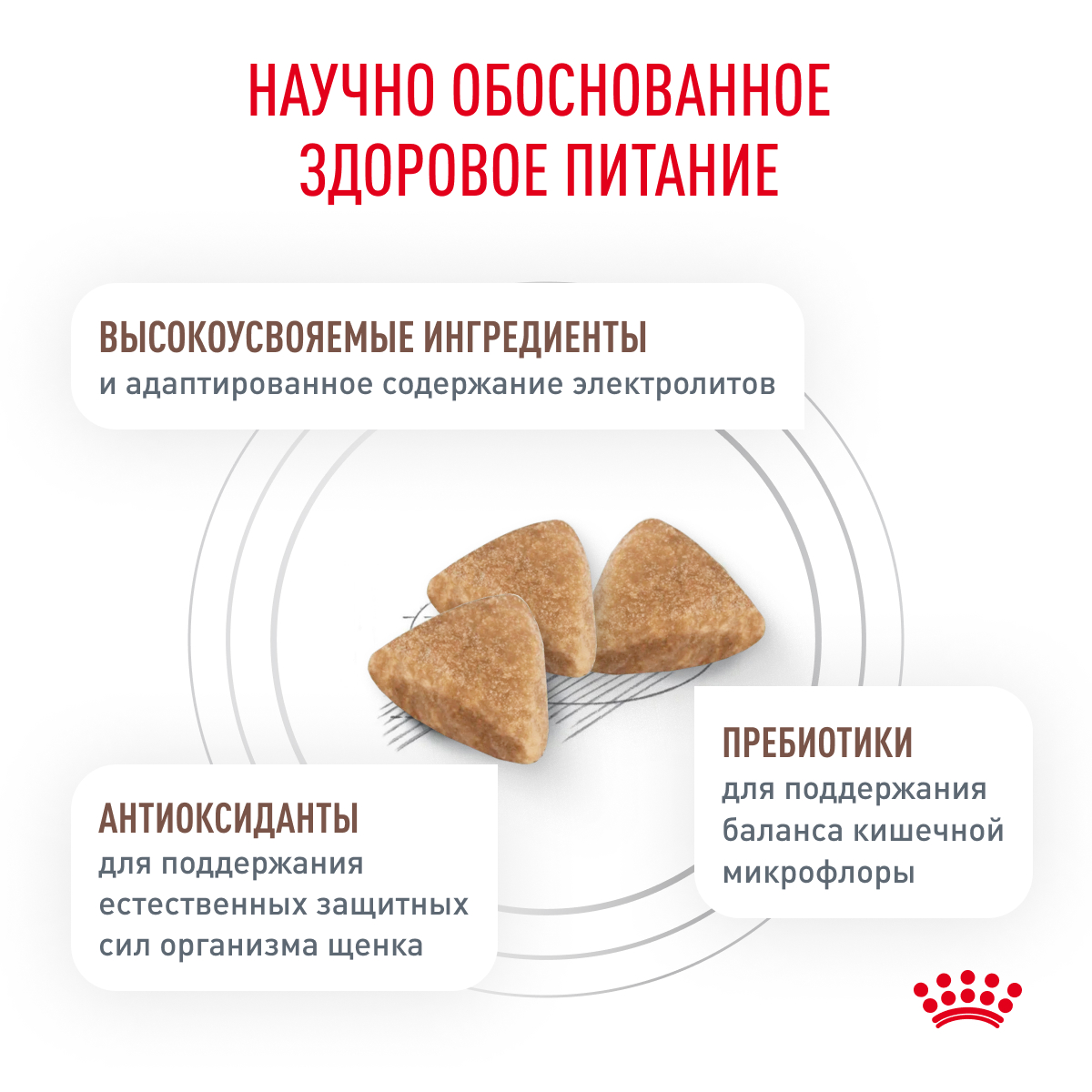 Корм для щенков ROYAL CANIN Gastro Intestinal Junior GIJ29 при нарушениях пищеварения 1кг - фото 4