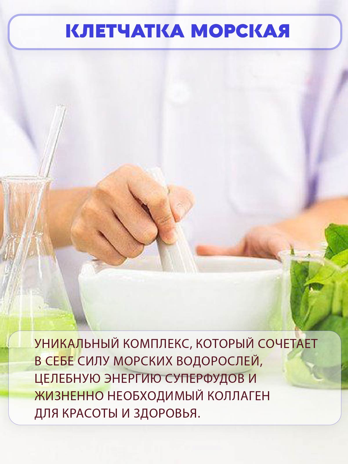 Клетчатка морская Вастэко с водорослями и морским коллагеном 200г - фото 2