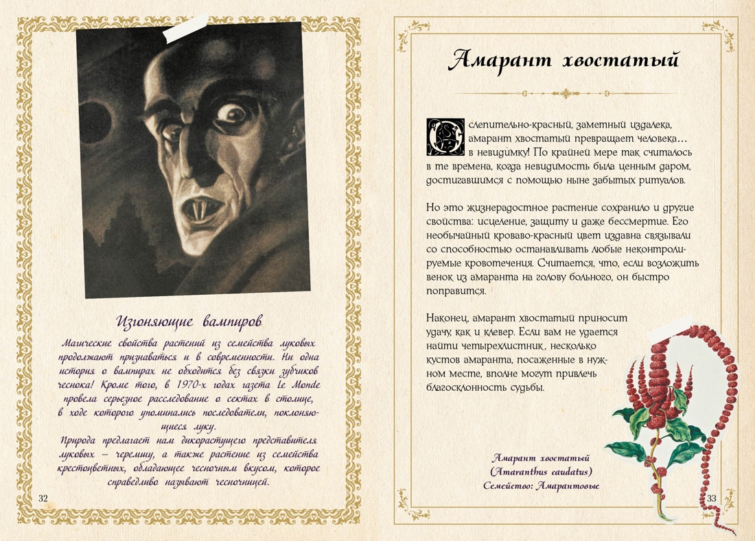 Книга КОЛИБРИ Лаис Э. Маленький гримуар ведьмы. Зелья и волшебные травы - фото 9