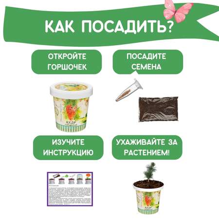 Набор для выращивания Rostok Visa