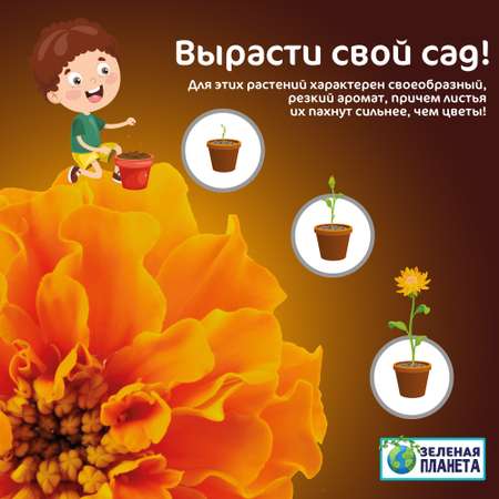 Набор для выращивания ЗЕЛЕНАЯ ПЛАНЕТА