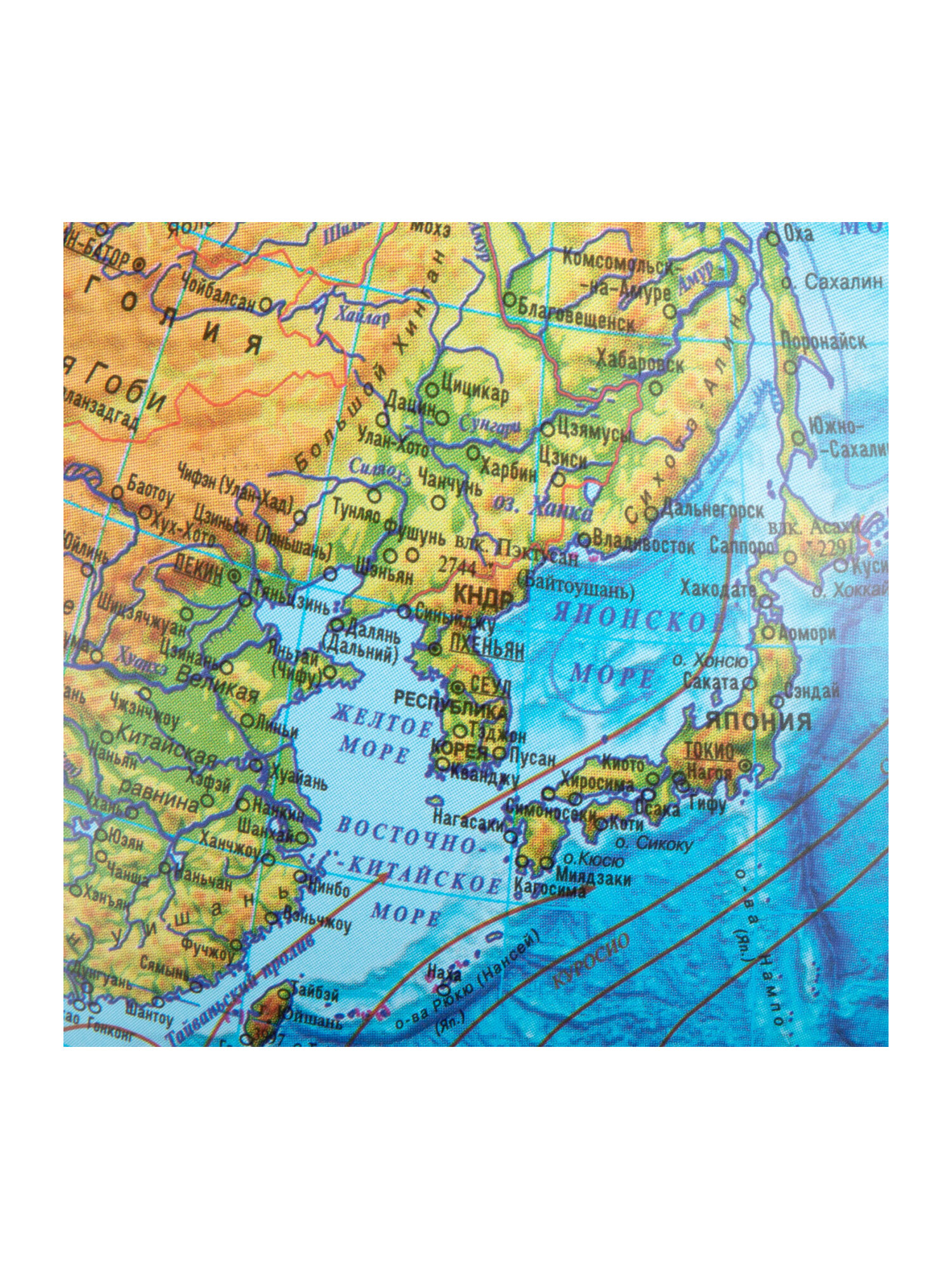 Глобус Globen физический с подсветкой диаметр 25 см - фото 11