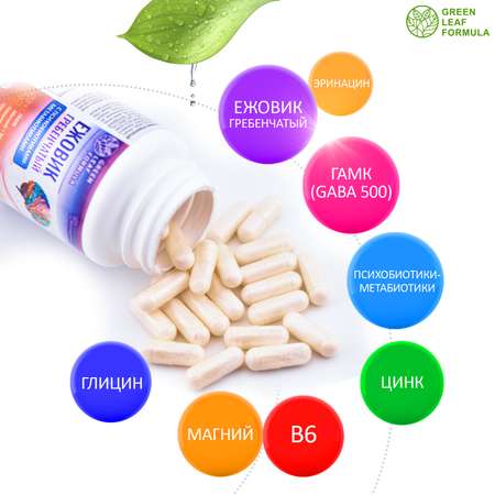 Ежовик гребенчатый Green Leaf Formula 500 витамины для мозга и нервной системы психобиотики метабиотики