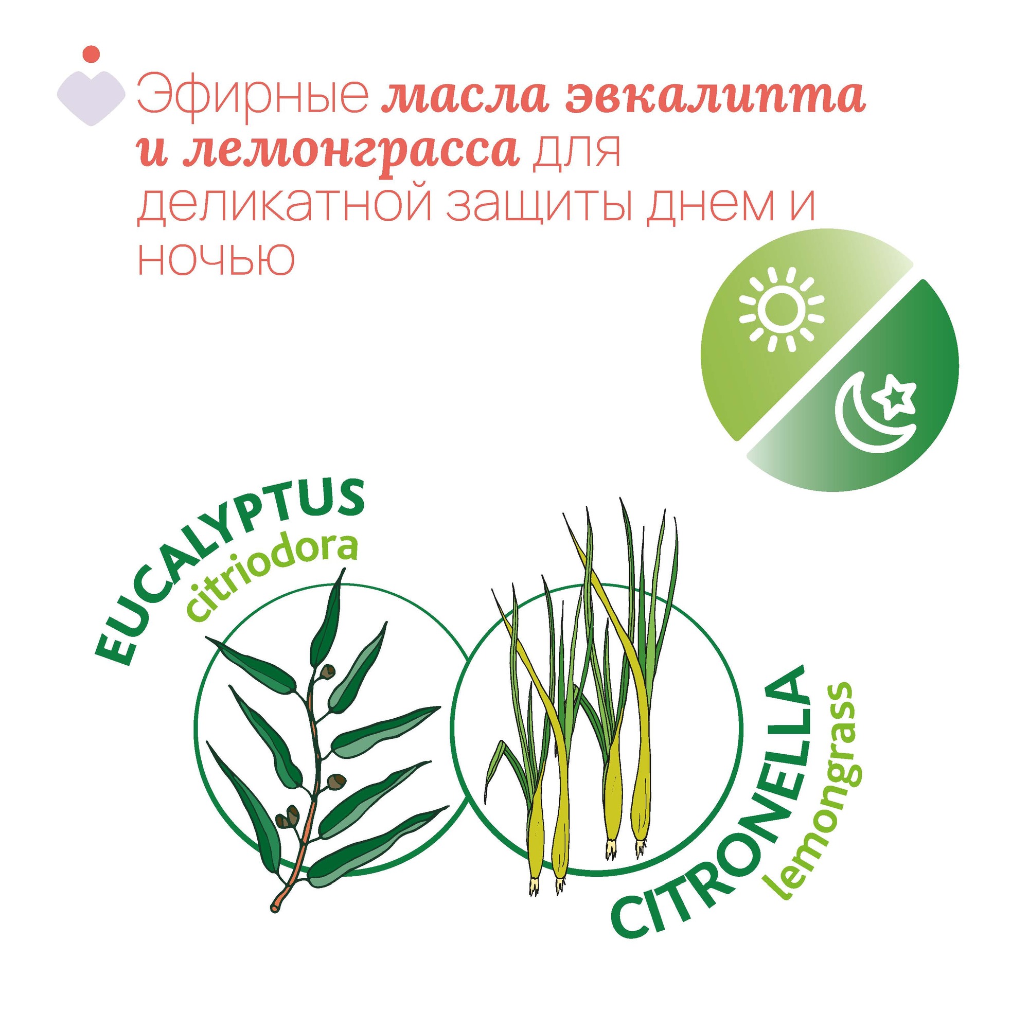 С эвкалиптом и лемонграссом Chicco Роллер - фото 3