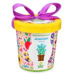 Набор для выращивания Happy Plant