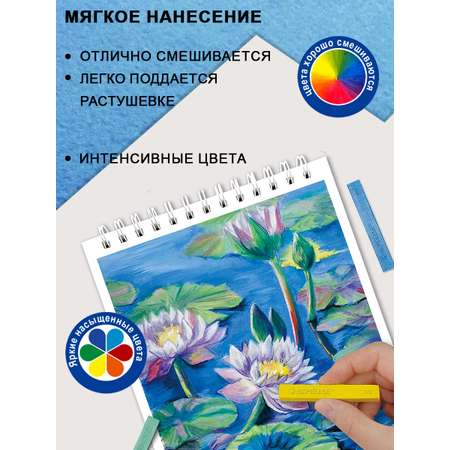 Пастель сухая ACMELIAE 72 шт.