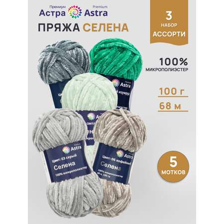 Пряжа для вязания Astra Premium 100г 68м 5шт