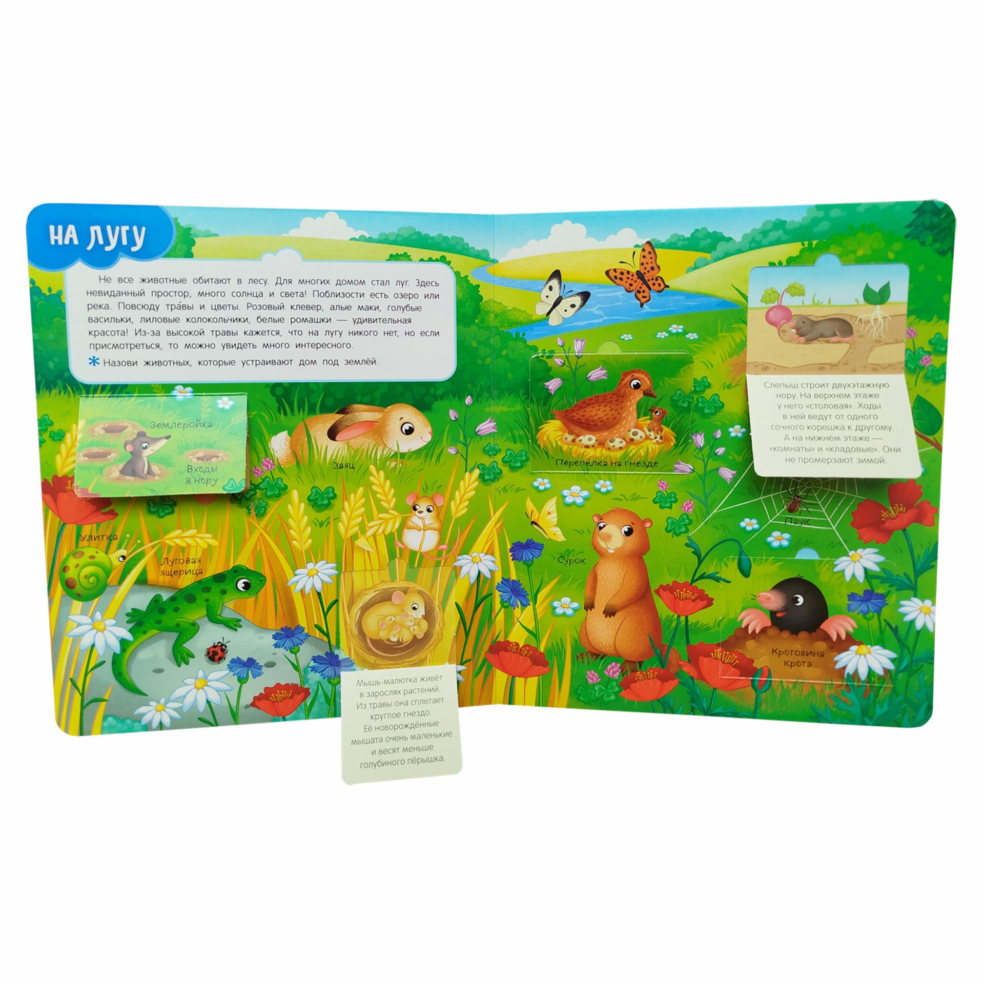 Книга Росмэн Кто где живет Книги с окошками - фото 2