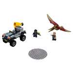 Конструктор LEGO Jurassic World 75926 113 дет.
