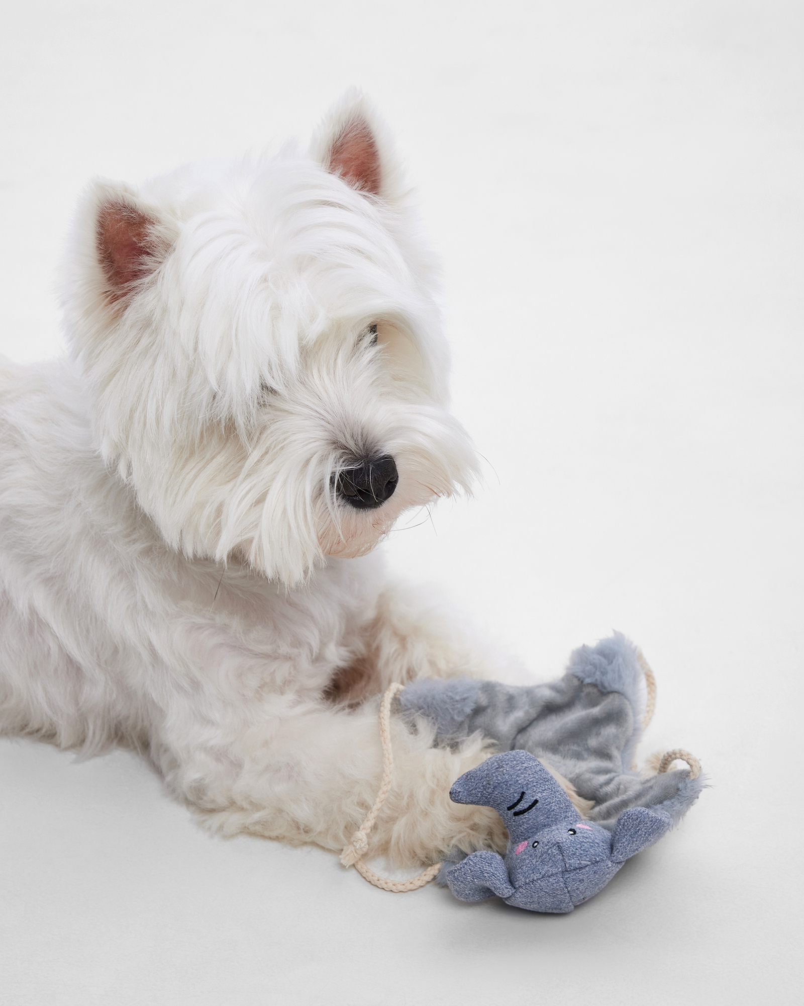 Игрушка для собак Barbaks Слонёнок плоский с канатиком шуршит 33*26.5 см - фото 3