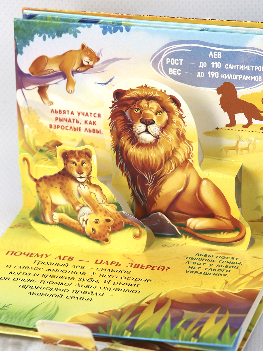 Набор книг Malamalama Коллекция карманных Энциклопедий о животных 6 шт - фото 11