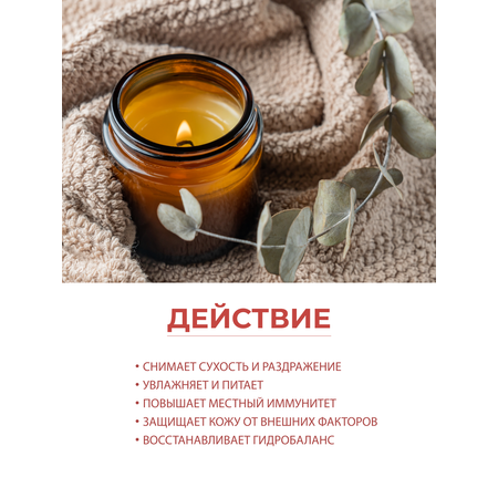Масло AXIONE