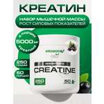 Креатин SUPPTRUE Черная смородина 250 г.