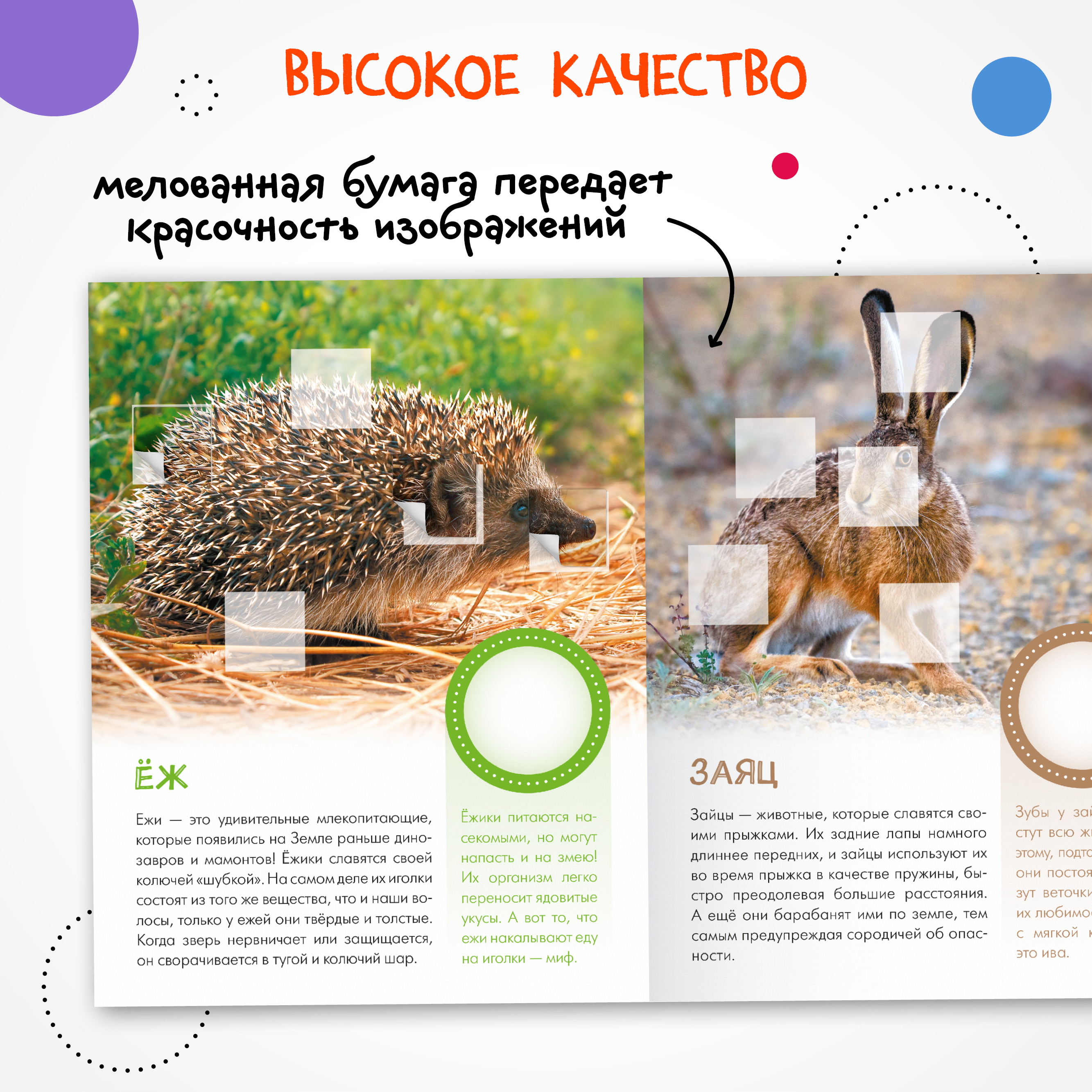 Набор МОЗАИКА kids Мир животных с наклейками 4 книги с наклейками - фото 9
