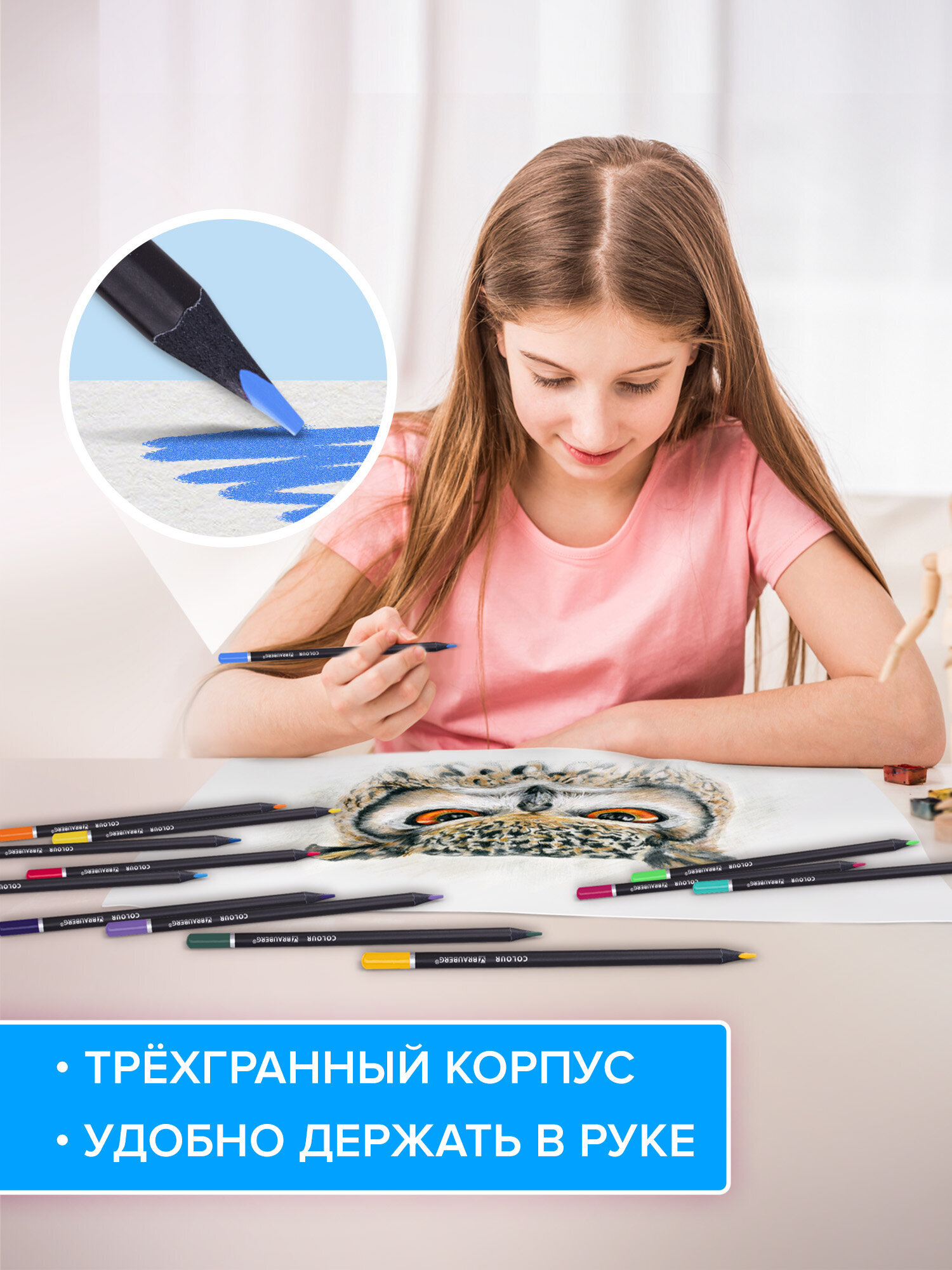 Карандаши цветные Brauberg 24 шт. - фото 3