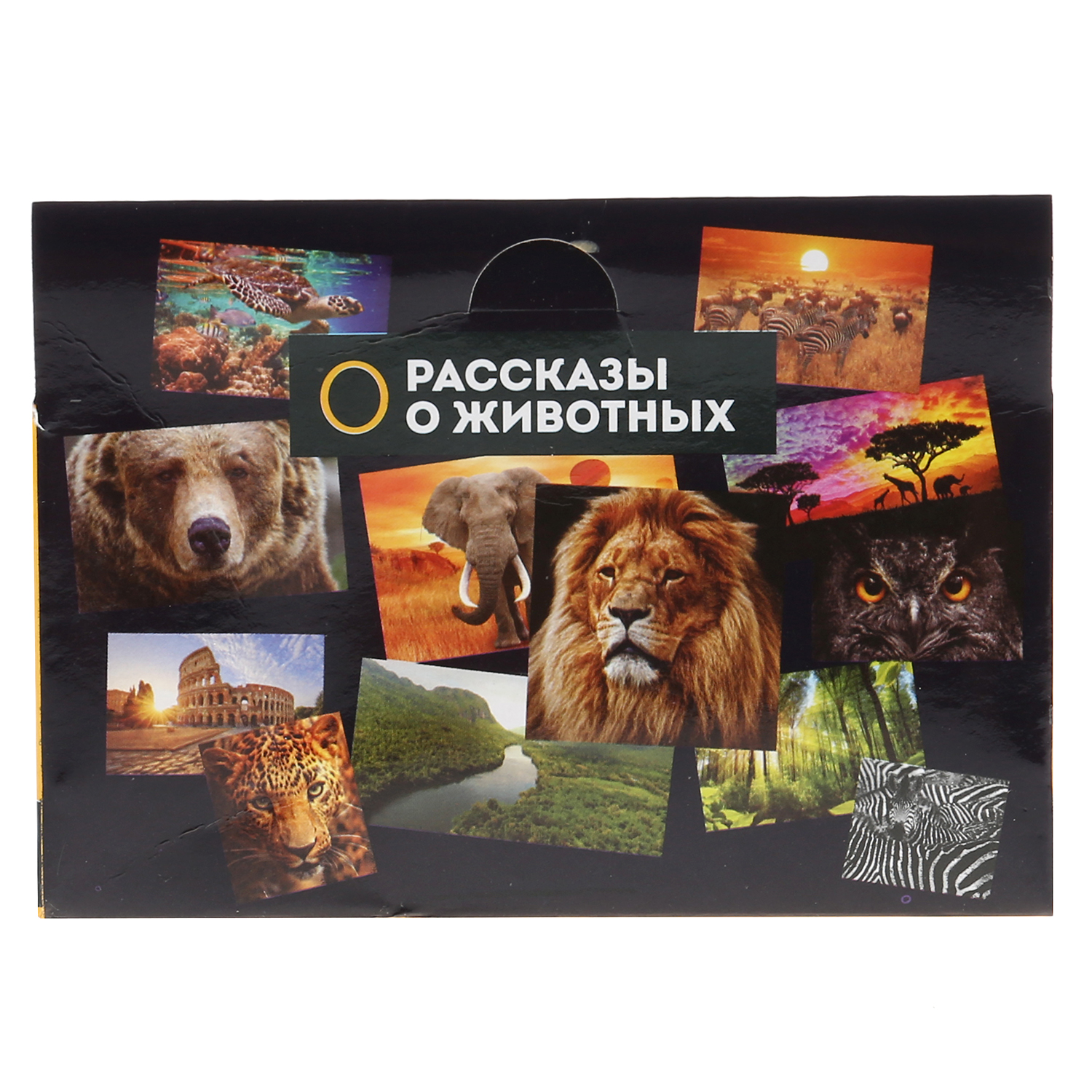 Игрушка Играем вместе Динозавр Бронтозавр - фото 5