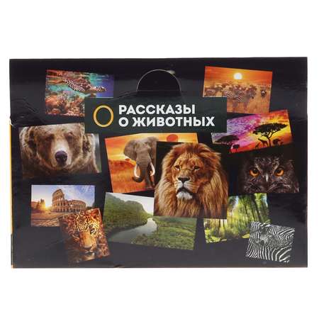 Игрушка Играем вместе Динозавр Бронтозавр