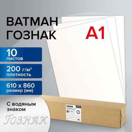 Ватман Brauberg 10 лист.