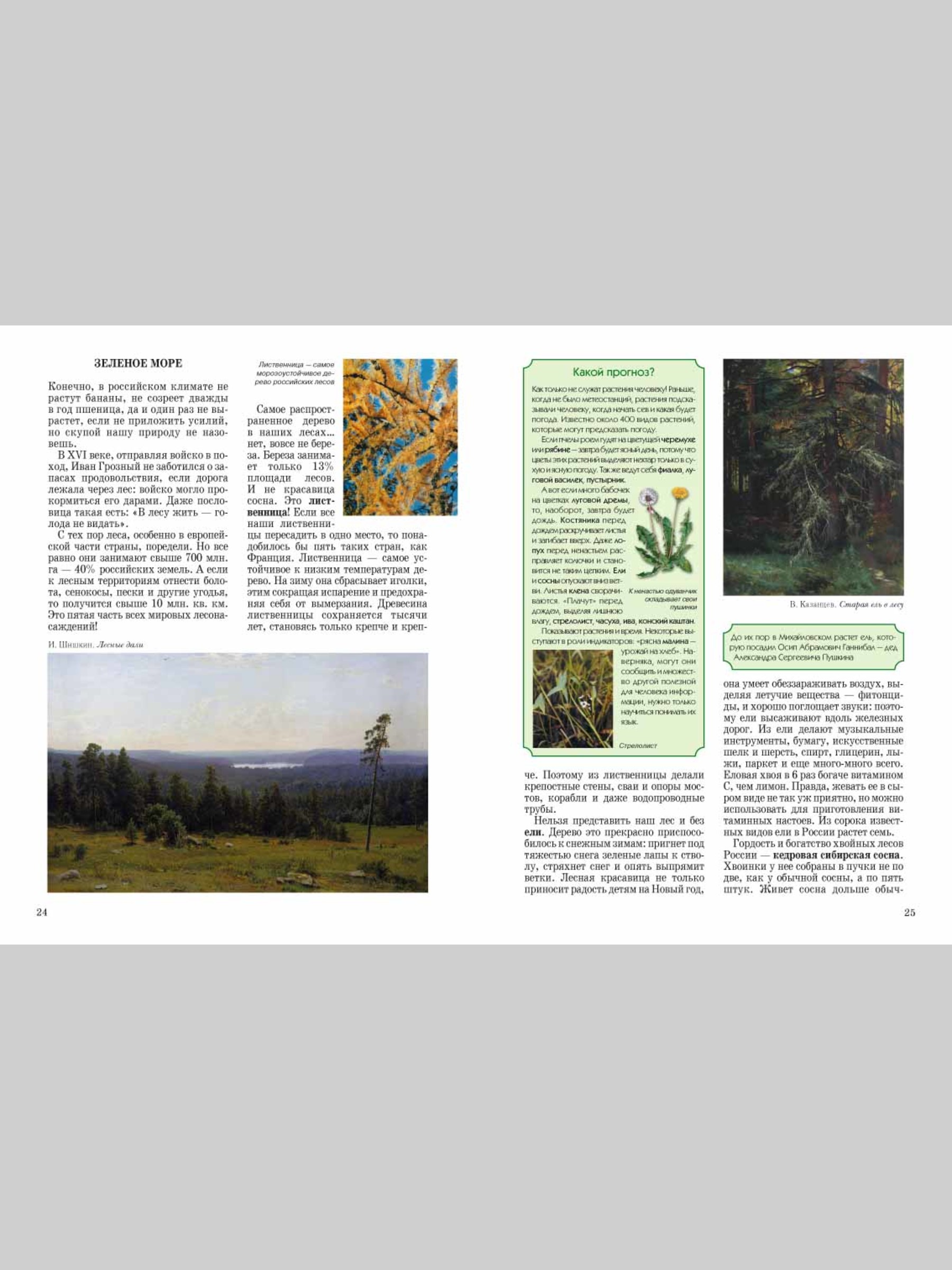 Книга Белый город Природа России - фото 4