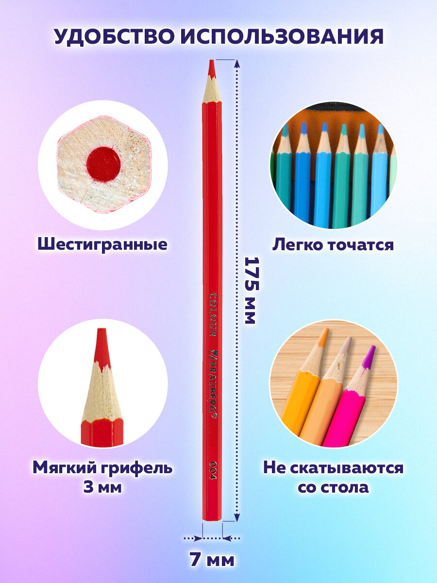 Карандаши Brauberg - фото 3