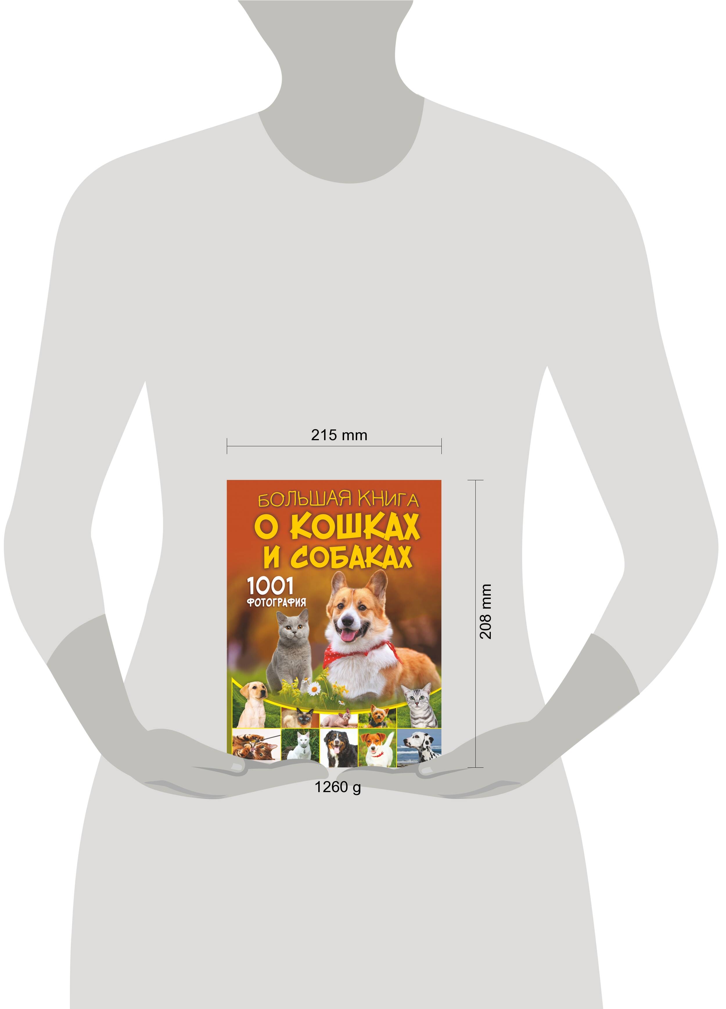 Книга АСТ Большая книга о кошках и собаках 1001 фотография - фото 4