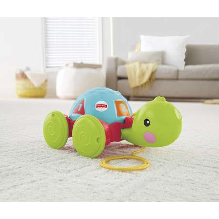 Каталка Fisher Price Обучающая черепаха