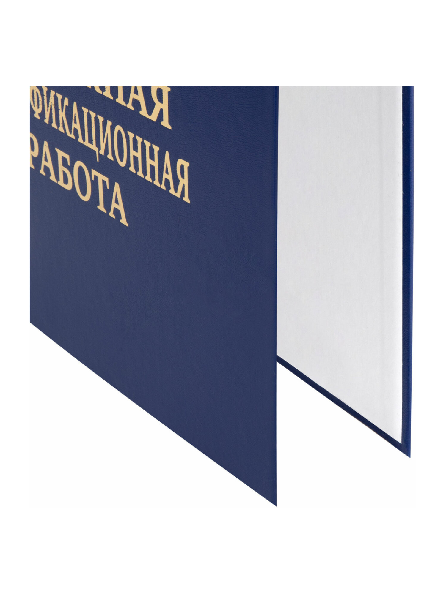 Папка-портфолио Staff А4 - фото 10