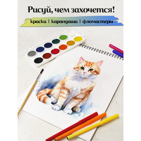 Альбом ШКОЛЬНЫЙ МИР Детский А4 40 лист. 2 шт.