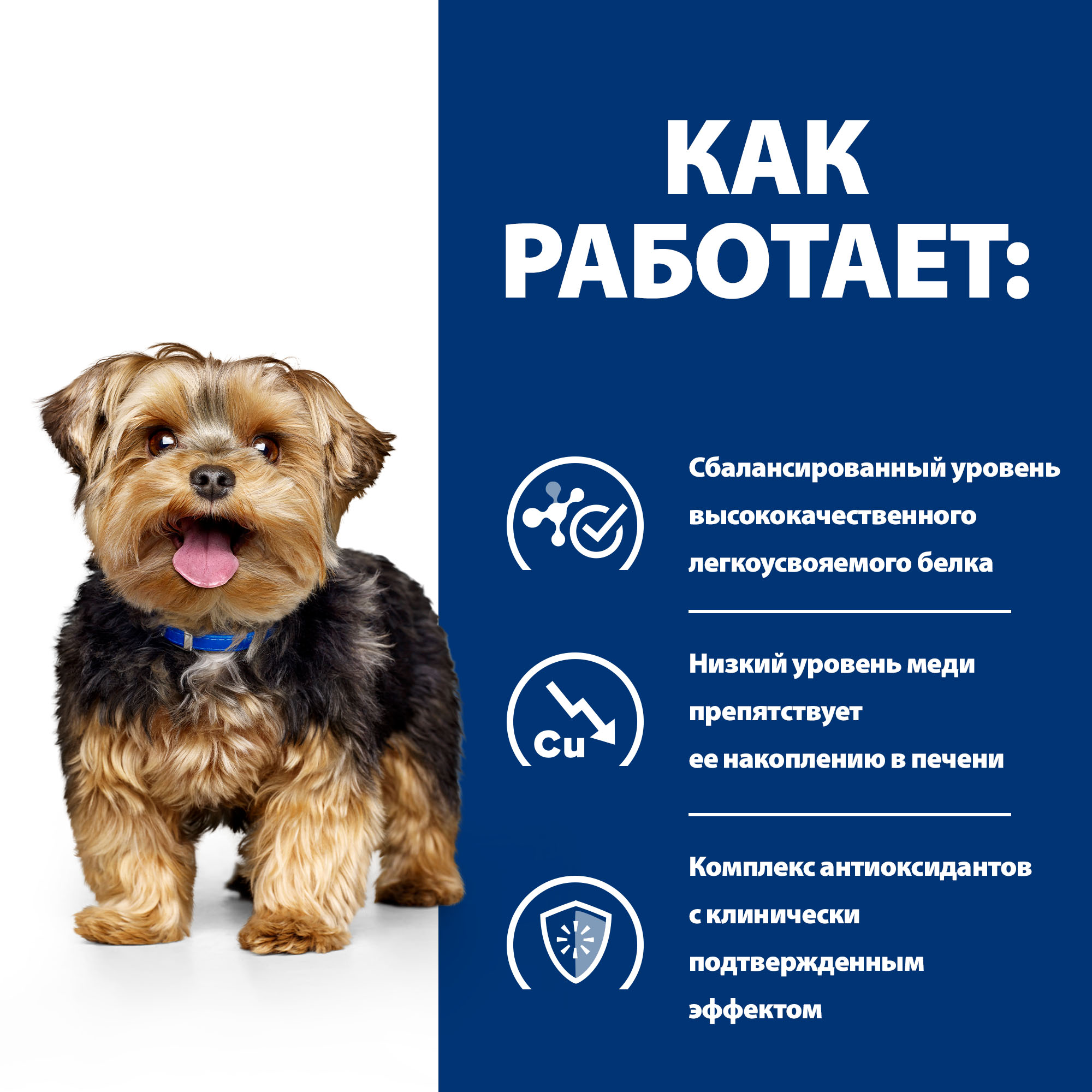 Корм для собак HILLS 4кг Prescription Diet l/d при заболеваниях печени сухой - фото 4