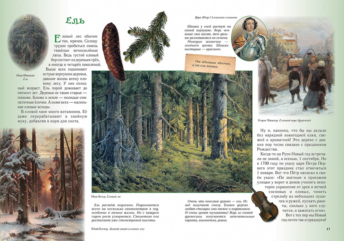 Книга Белый город Прогулки по лесу. - 2-е изд. - фото 5