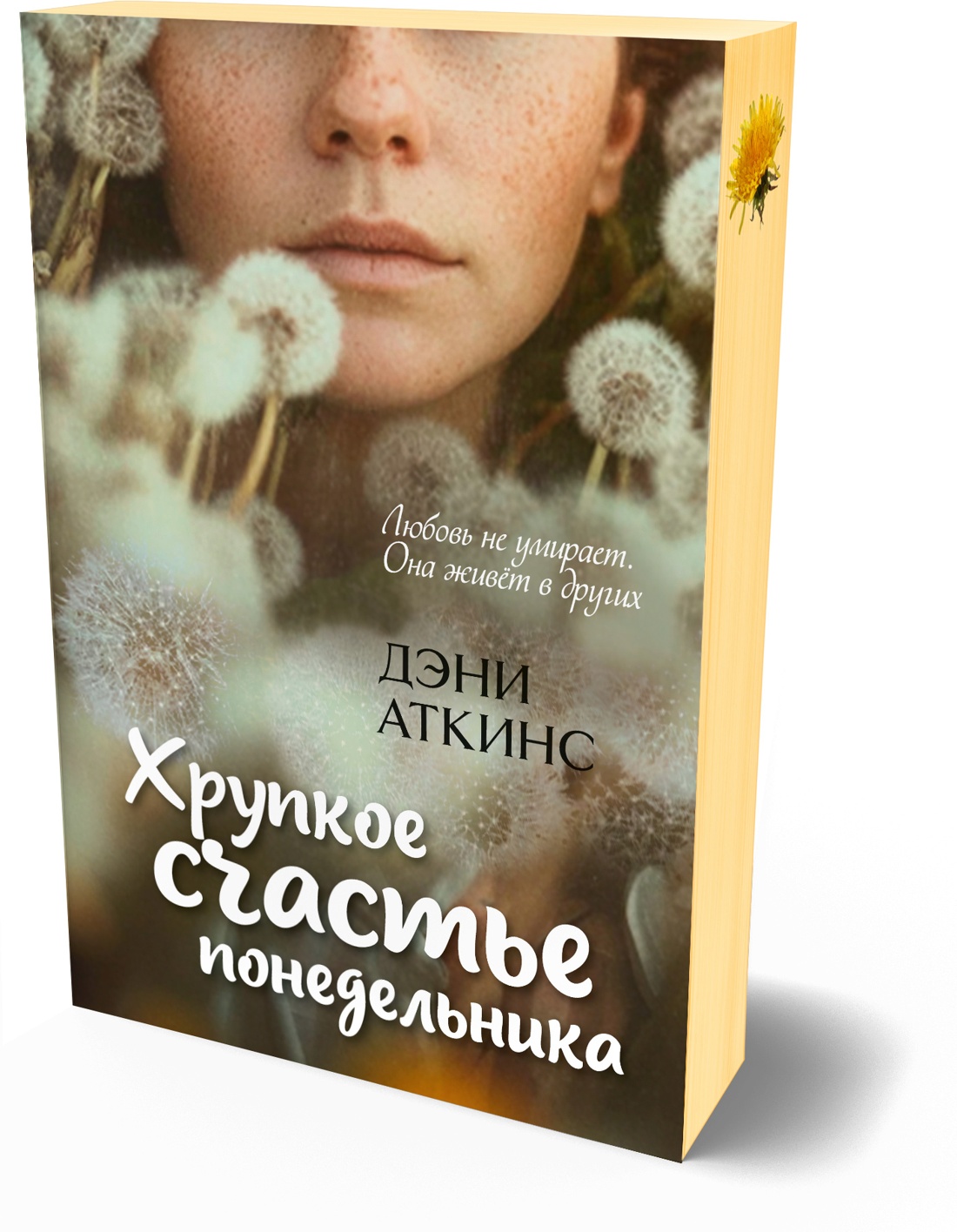 Книга Иностранка Акценты Аткинс Д Хрупкое счастье понедельника мяг обл - фото 2