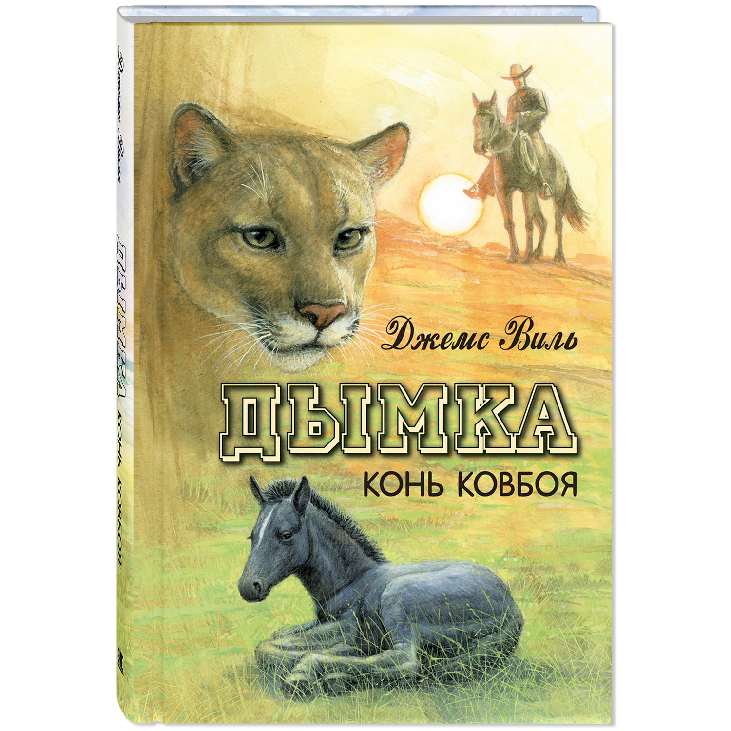 Книга ЭНАС-книга Дымка. Конь ковбоя - фото 1