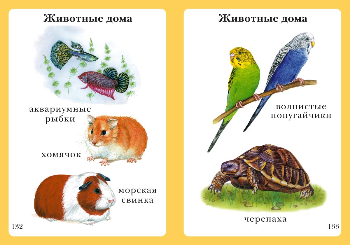 Книга Белый город Моя первая книга - фото 10